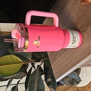 Pink Parade Stanley 40oz Tumbler
